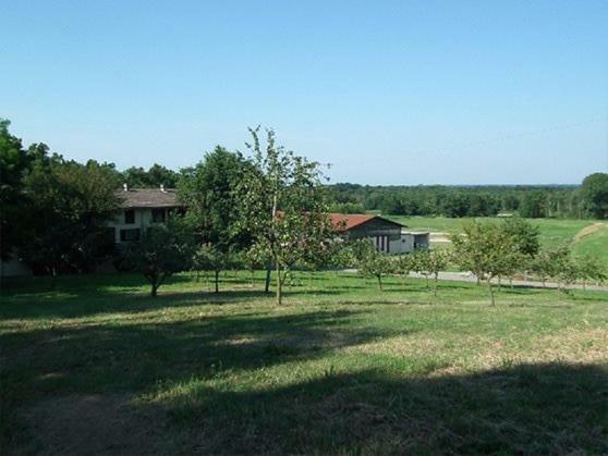 Agriturismo Cargandino Mezzomerico Exterior photo